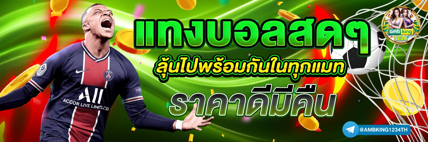 เว็บ คา สิ โน - แบนเนอร์โปรโมชั่น