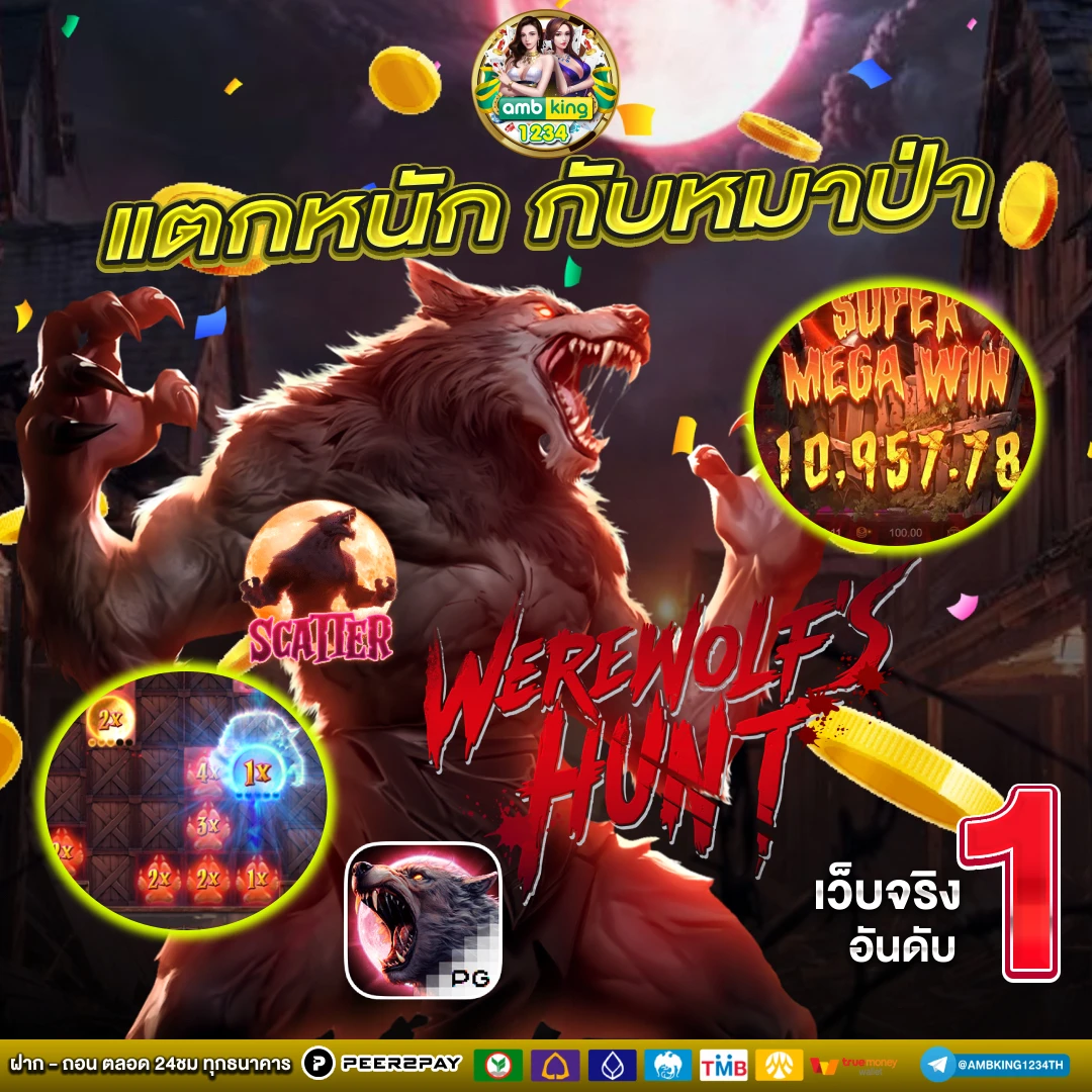เว็บพนันออนไลน์123 - แบนเนอร์โปรโมชั่น